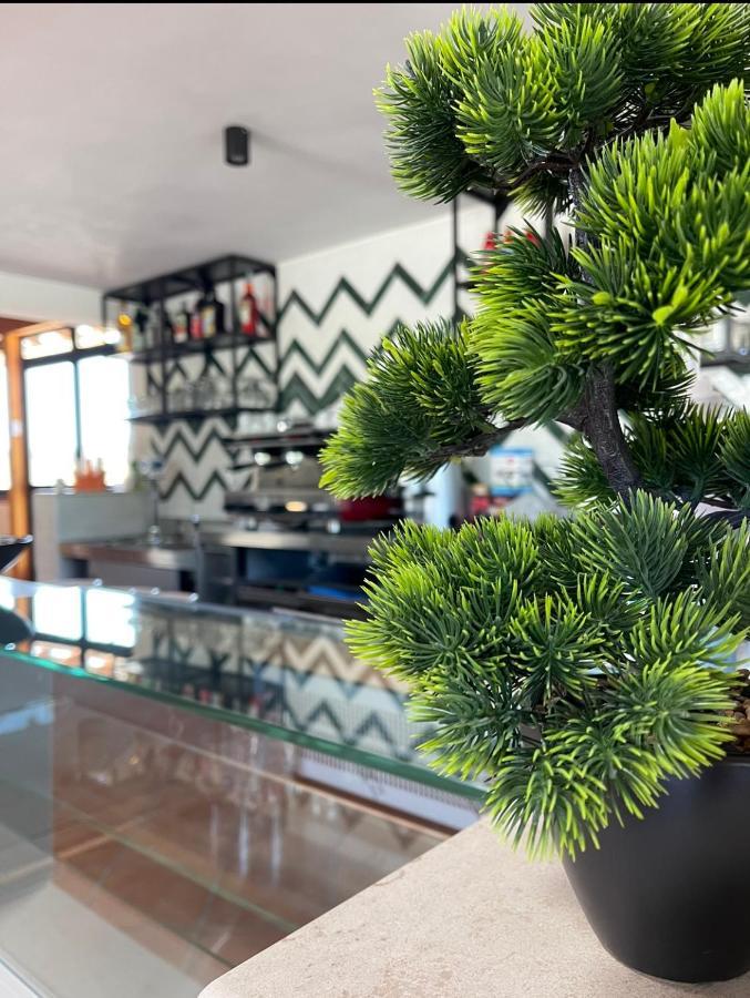 Camping Smeraldo Hotel Campomarino  Ngoại thất bức ảnh